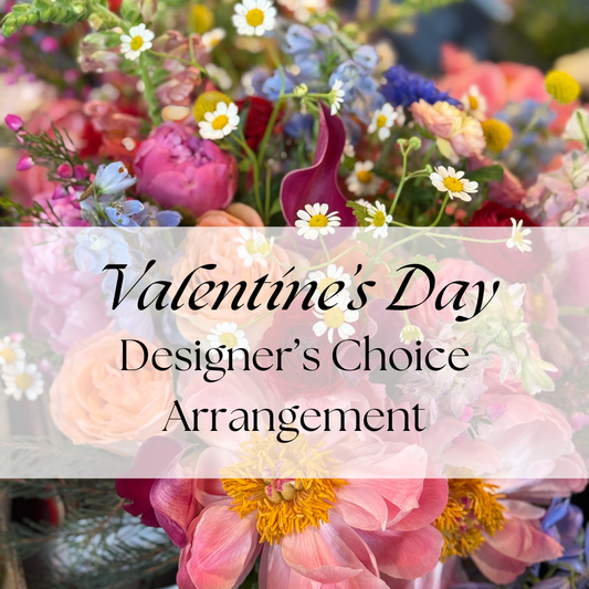Designer's Choice